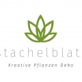 Logoentwicklung für nachhaltige und kreative Pflanzen Dekoration