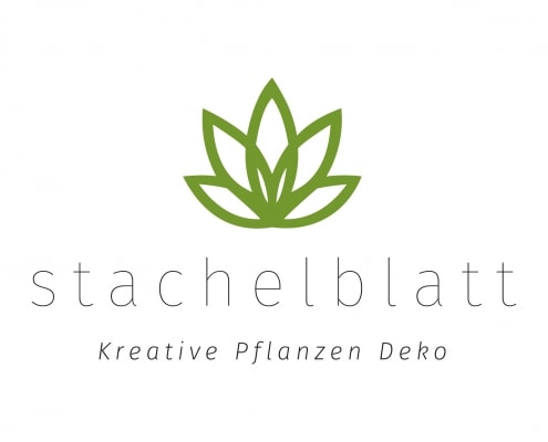 Logoentwicklung für nachhaltige und kreative Pflanzen Dekoration