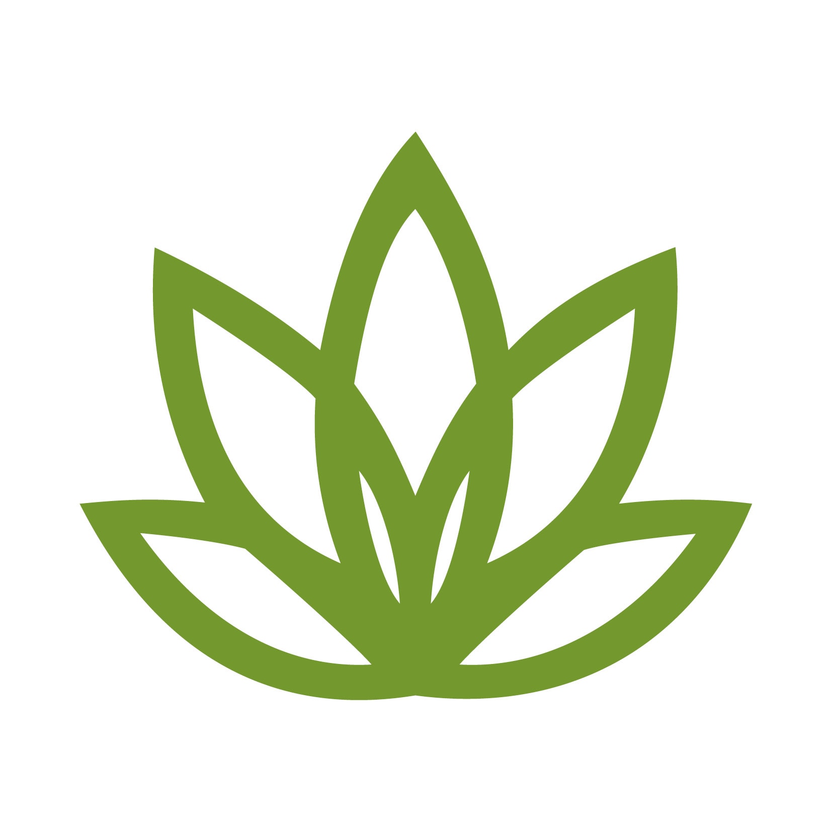 Logoentwicklung für nachhaltige und kreative Pflanzen Dekoration: Bildmarke Stachelblatt