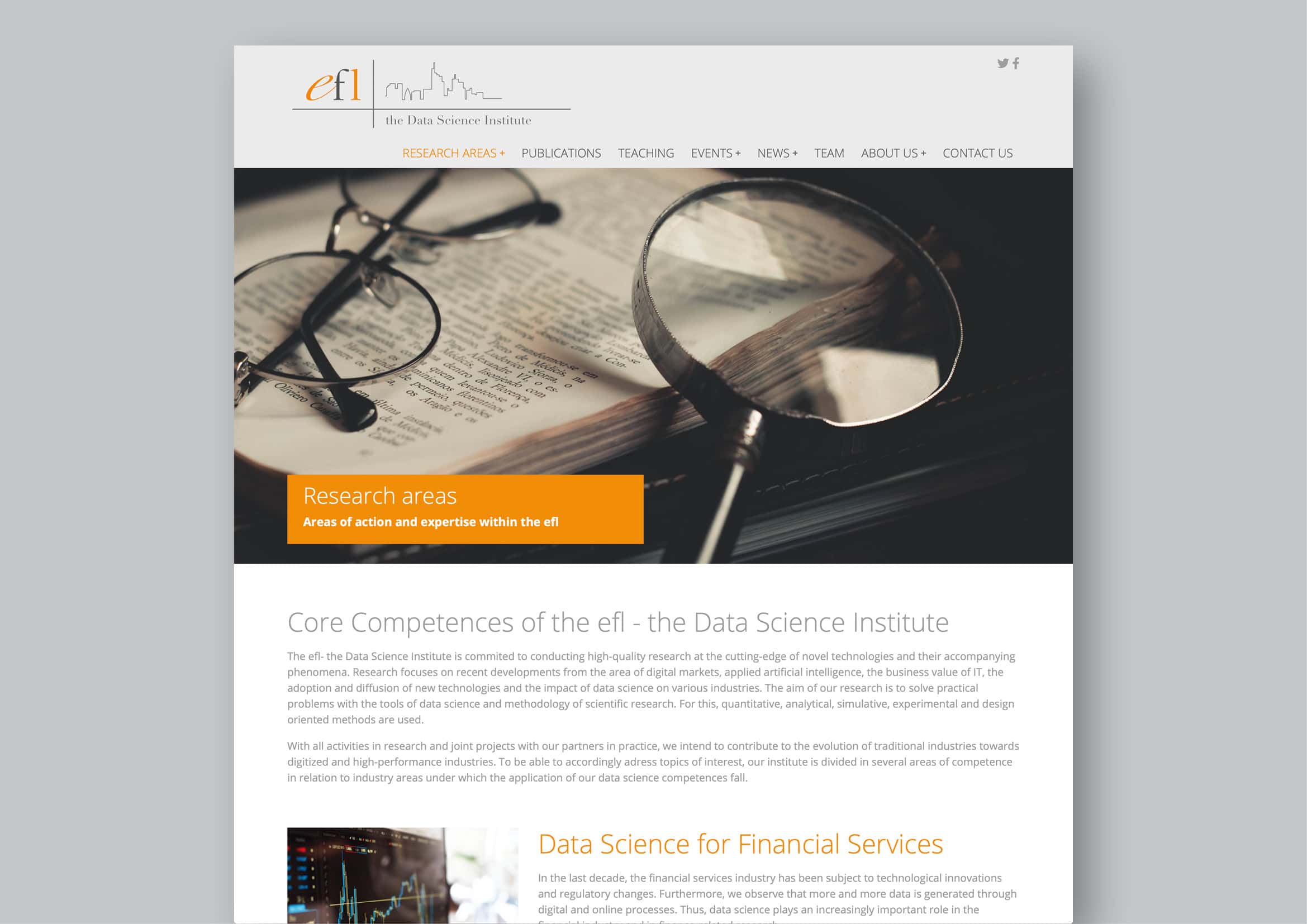 Entwicklung Typo3 Website für E-Finance Lab der Johann Wolfgang Goethe-Universität Frankfurt durch Webdesigner Ronald Wissler