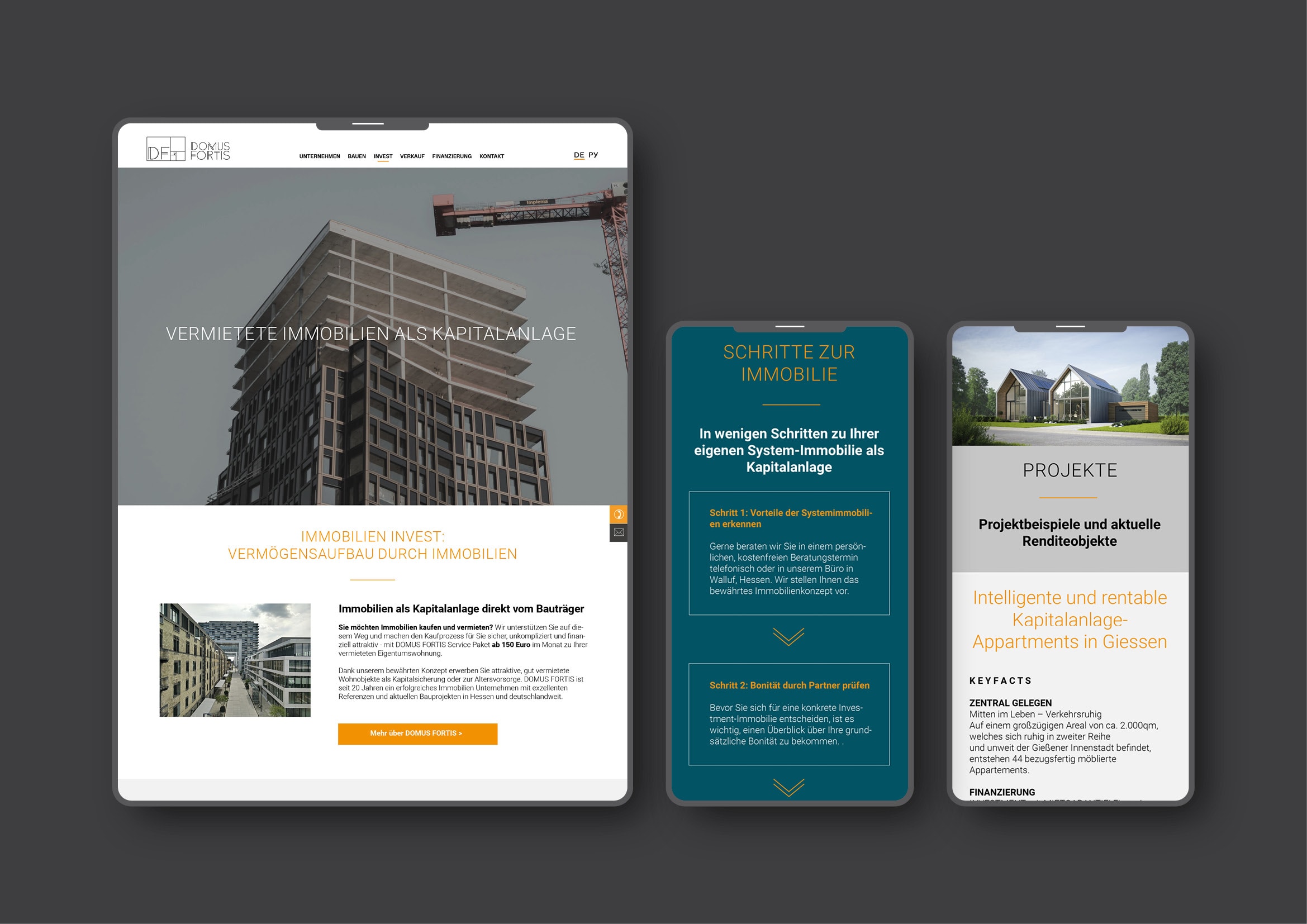 Webdesign und Programmierung der Internetseite für das Immobilien Unternehmen Domus Fortis durch Ronald Wissler Visuelle Kommunikation