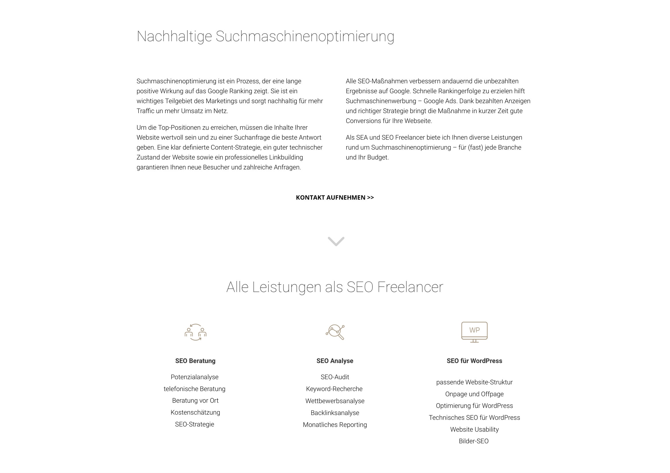 Homepage, Logo und Corporate Design Entwicklung für Olga Lesnykh Digital Marketing / SEO Freelancer Frankfurt durch Webdesigner Ronald Wissler