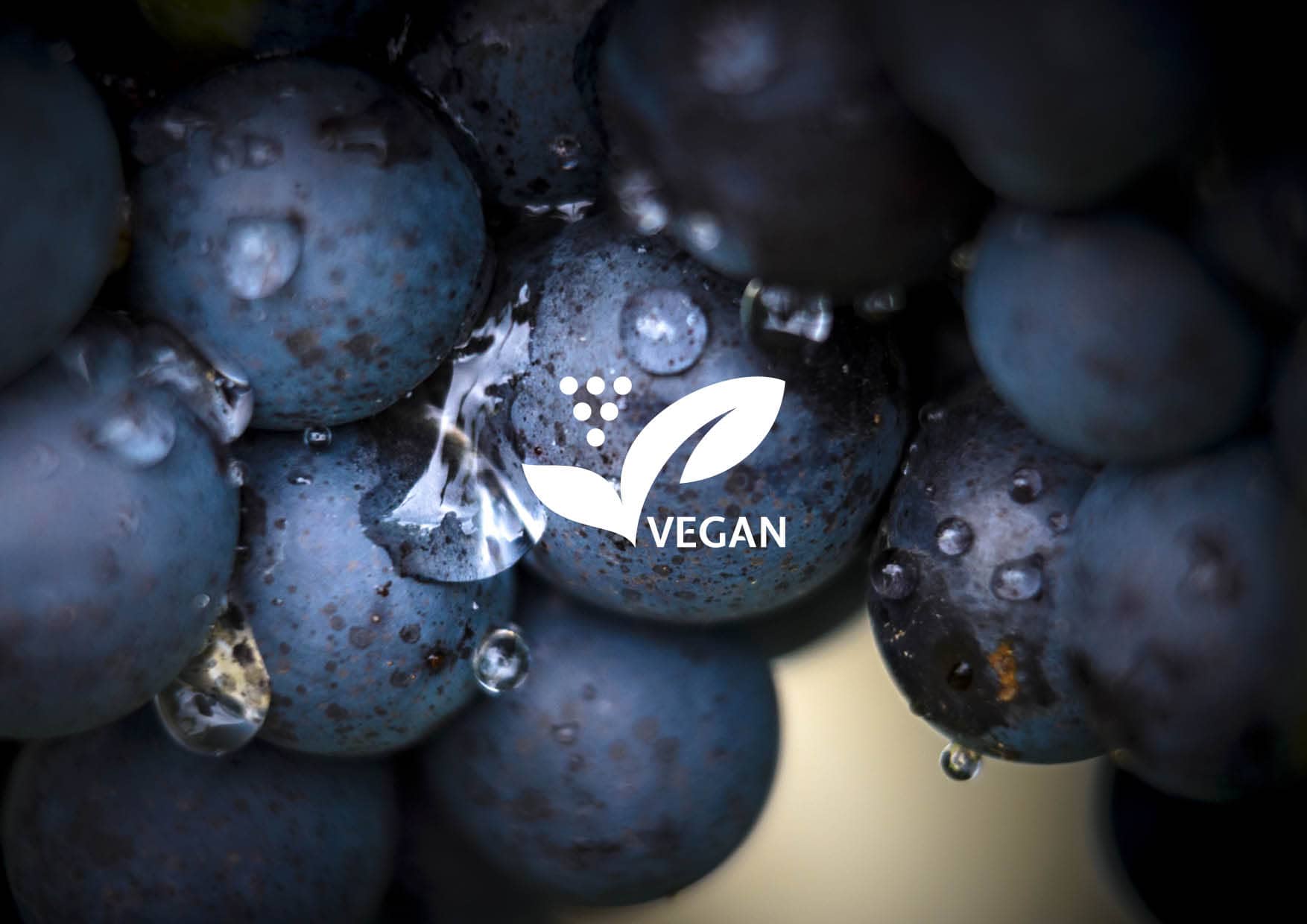 Entwicklung Logodesign / Siegel „Vegan“ für Weingut durch Grafik-Designer Ronald Wissler